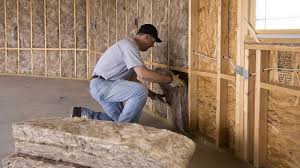 Eco-Friendly Insulation Solutions in Albany, WI